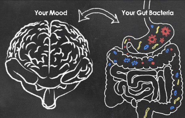 The Role of Bacteria in Mental Health Disorders Home